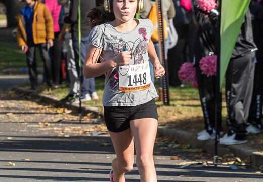 NMEF 10K 5K 2017